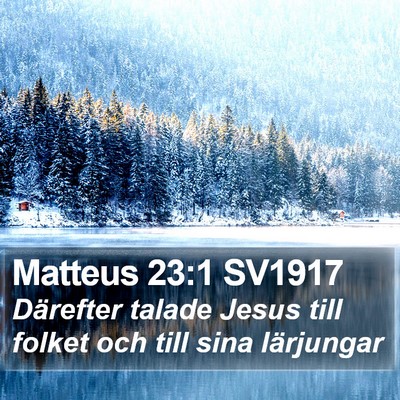 Matteus 23:1 SV1917 Bible Verse Image