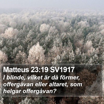 Matteus 23:19 SV1917 Bible Verse Image