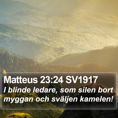 Matteus 23:24 SV1917 Bible Verse Image