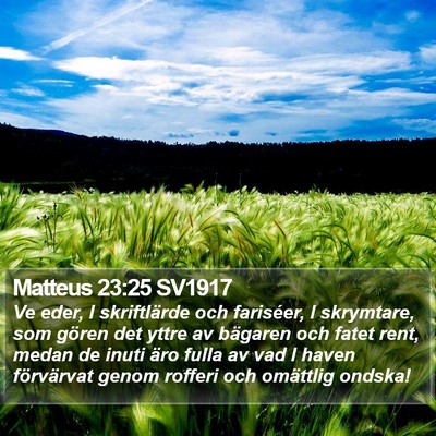 Matteus 23:25 SV1917 Bible Verse Image