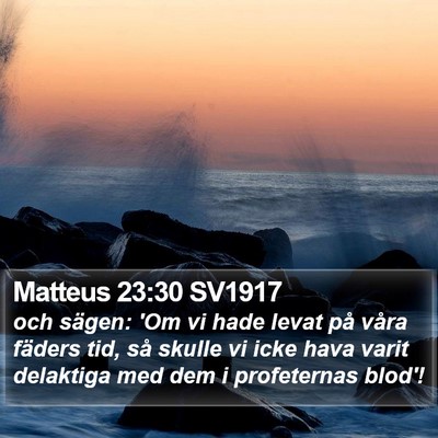 Matteus 23:30 SV1917 Bible Verse Image