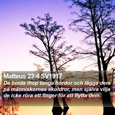 Matteus 23:4 SV1917 Bible Verse Image