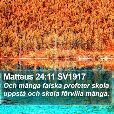 Matteus 24:11 SV1917 Bible Verse Image