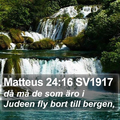 Matteus 24:16 SV1917 Bible Verse Image