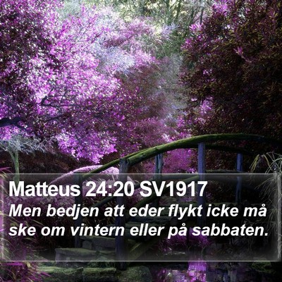 Matteus 24:20 SV1917 Bible Verse Image