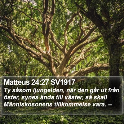 Matteus 24:27 SV1917 Bible Verse Image