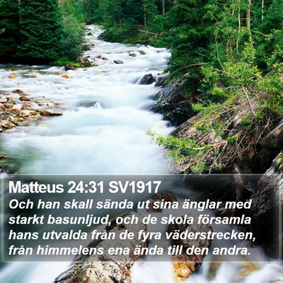 Matteus 24:31 SV1917 Bible Verse Image