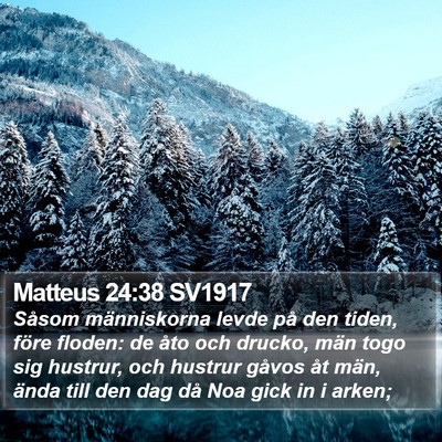 Matteus 24:38 SV1917 Bible Verse Image