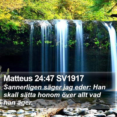 Matteus 24:47 SV1917 Bible Verse Image