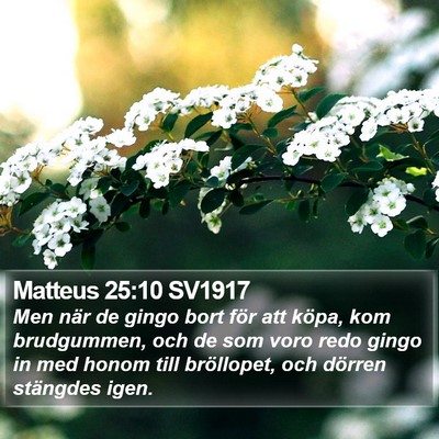 Matteus 25:10 SV1917 Bible Verse Image