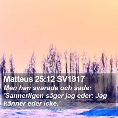 Matteus 25:12 SV1917 Bible Verse Image