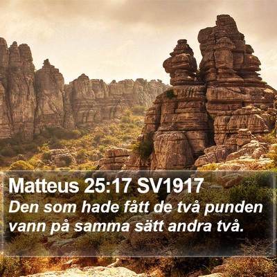 Matteus 25:17 SV1917 Bible Verse Image