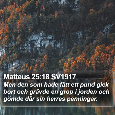 Matteus 25:18 SV1917 Bible Verse Image