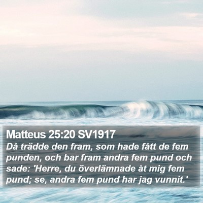 Matteus 25:20 SV1917 Bible Verse Image