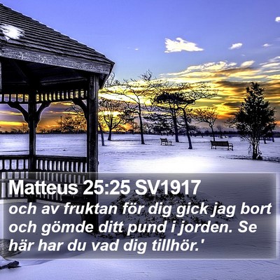 Matteus 25:25 SV1917 Bible Verse Image