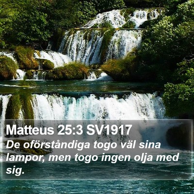 Matteus 25:3 SV1917 Bible Verse Image