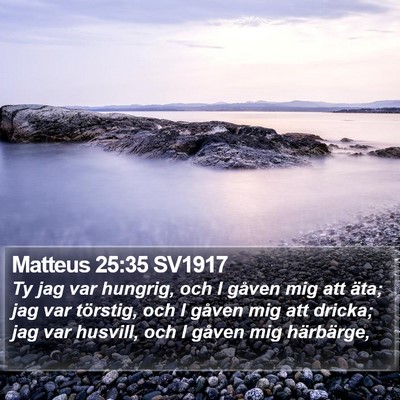 Matteus 25:35 SV1917 Bible Verse Image