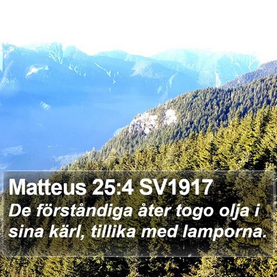 Matteus 25:4 SV1917 Bible Verse Image