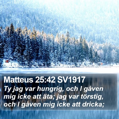 Matteus 25:42 SV1917 Bible Verse Image