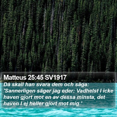 Matteus 25:45 SV1917 Bible Verse Image