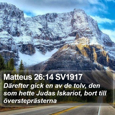 Matteus 26:14 SV1917 Bible Verse Image