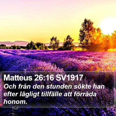 Matteus 26:16 SV1917 Bible Verse Image
