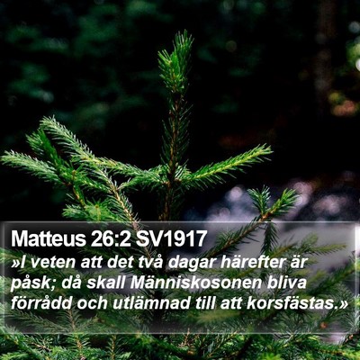 Matteus 26:2 SV1917 Bible Verse Image
