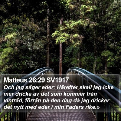 Matteus 26:29 SV1917 Bible Verse Image