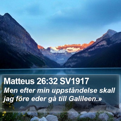 Matteus 26:32 SV1917 Bible Verse Image
