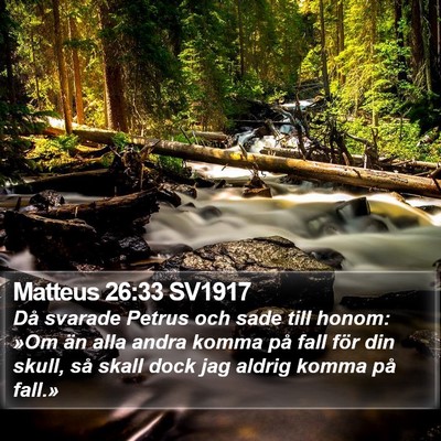 Matteus 26:33 SV1917 Bible Verse Image