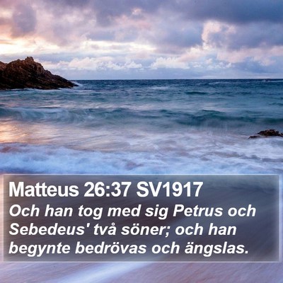 Matteus 26:37 SV1917 Bible Verse Image