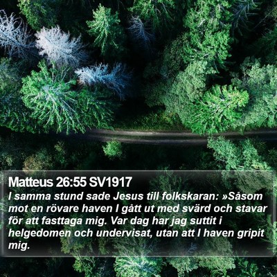Matteus 26:55 SV1917 Bible Verse Image