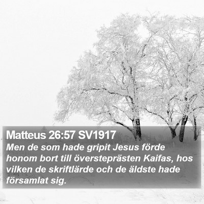 Matteus 26:57 SV1917 Bible Verse Image