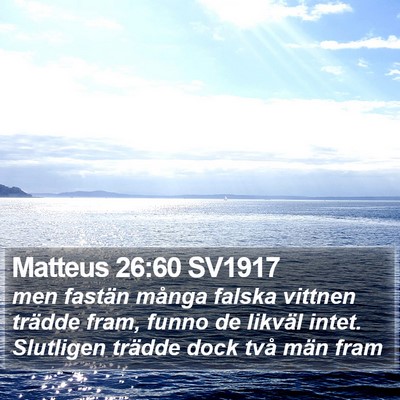 Matteus 26:60 SV1917 Bible Verse Image
