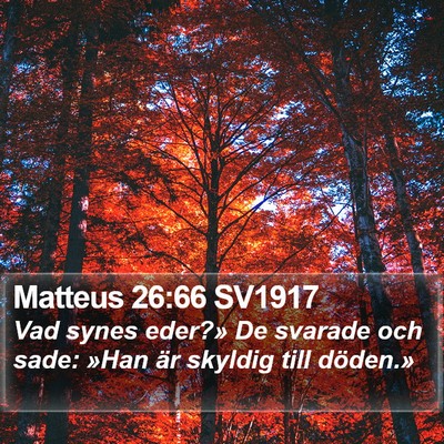 Matteus 26:66 SV1917 Bible Verse Image
