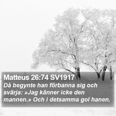 Matteus 26:74 SV1917 Bible Verse Image