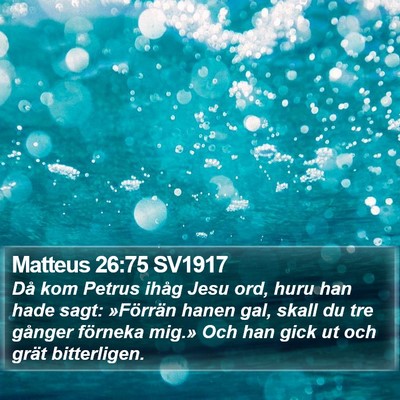 Matteus 26:75 SV1917 Bible Verse Image