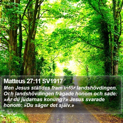 Matteus 27:11 SV1917 Bible Verse Image