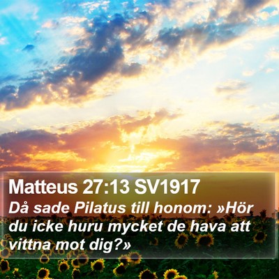 Matteus 27:13 SV1917 Bible Verse Image