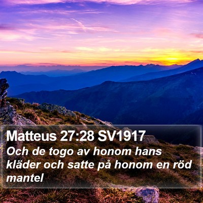 Matteus 27:28 SV1917 Bible Verse Image