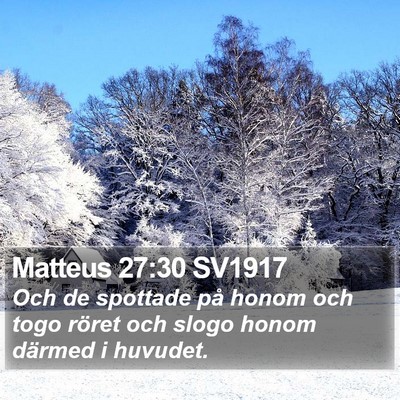 Matteus 27:30 SV1917 Bible Verse Image