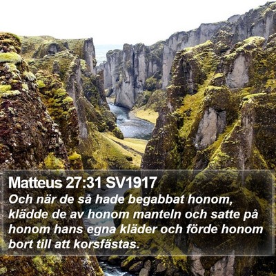 Matteus 27:31 SV1917 Bible Verse Image