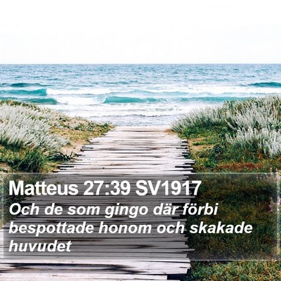 Matteus 27:39 SV1917 Bible Verse Image