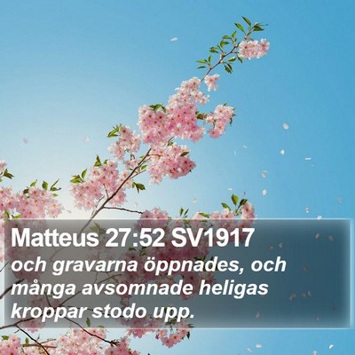 Matteus 27:52 SV1917 Bible Verse Image
