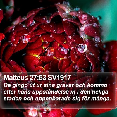 Matteus 27:53 SV1917 Bible Verse Image