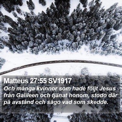 Matteus 27:55 SV1917 Bible Verse Image
