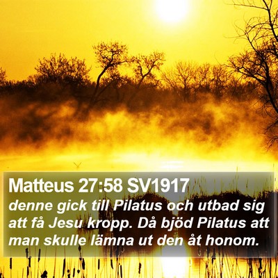 Matteus 27:58 SV1917 Bible Verse Image