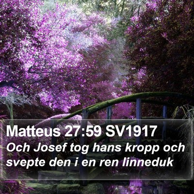 Matteus 27:59 SV1917 Bible Verse Image