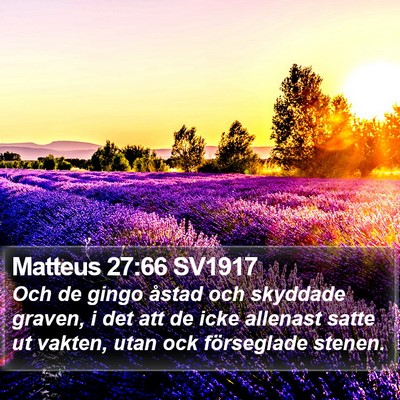 Matteus 27:66 SV1917 Bible Verse Image