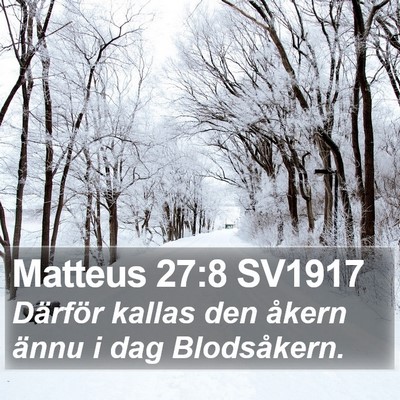 Matteus 27:8 SV1917 Bible Verse Image
